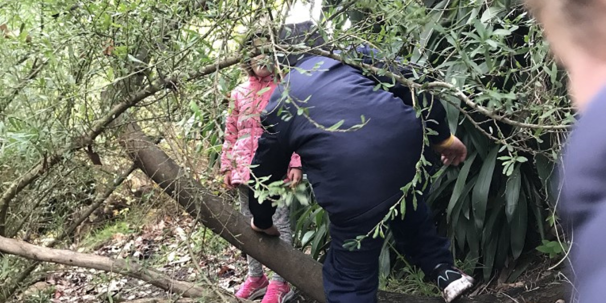 bush-kinder-program:-taking-the-classroom-and-learning-outside