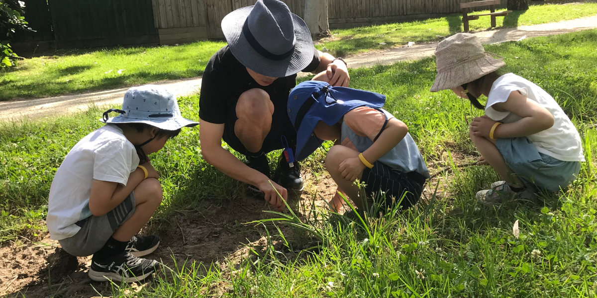 digital-documentation-vs-interaction-with-children:-finding-the-right-balance 