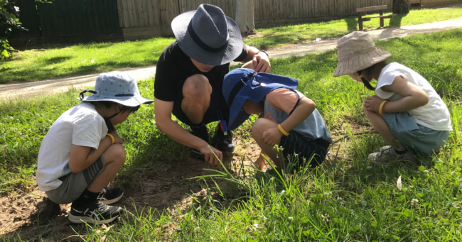 digital-documentation-vs-interaction-with-children:-finding-the-right-balance 