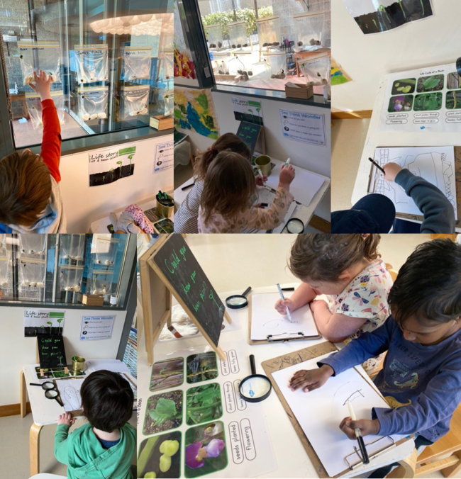 why-is-it-important-to-make-children’s-thinking-visible?