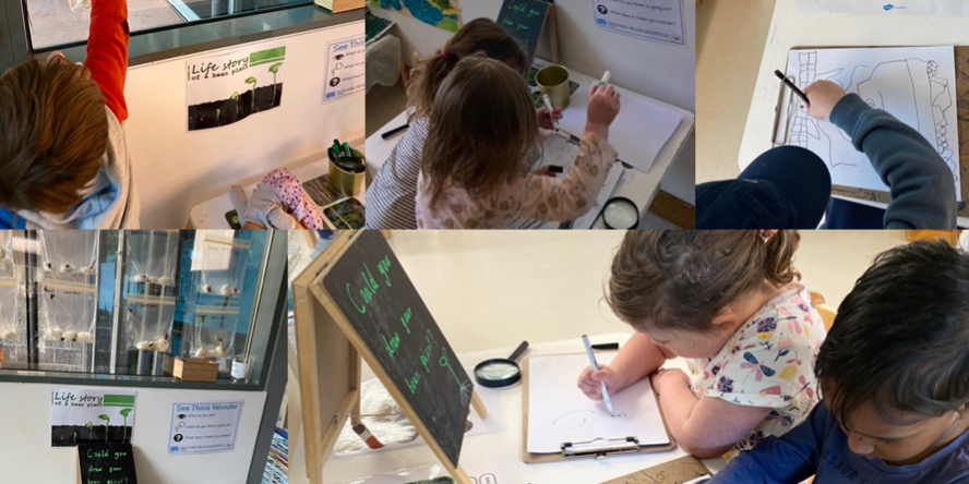 why-is-it-important-to-make-children’s-thinking-visible? why-is-it-important-to-make-children’s-thinking-visible?