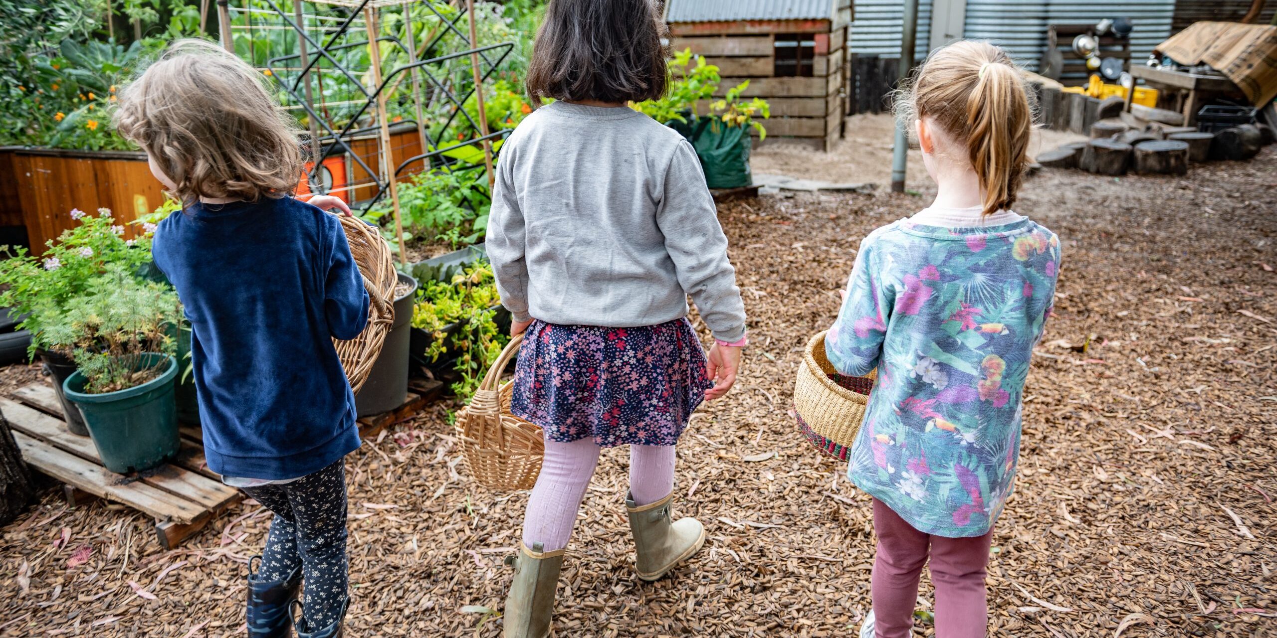 growing-in-early-childhood-education growing-in-early-childhood-education