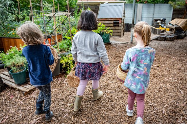 growing-in-early-childhood-education 